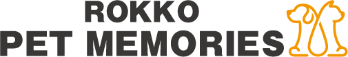 LinkIcon
